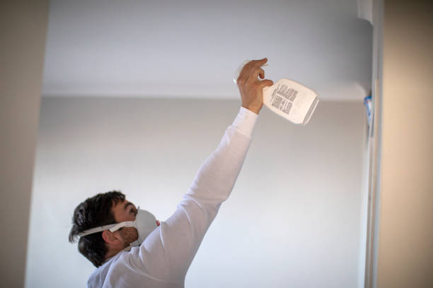 Best Attic Mold Removal  in Wrightsville, AR