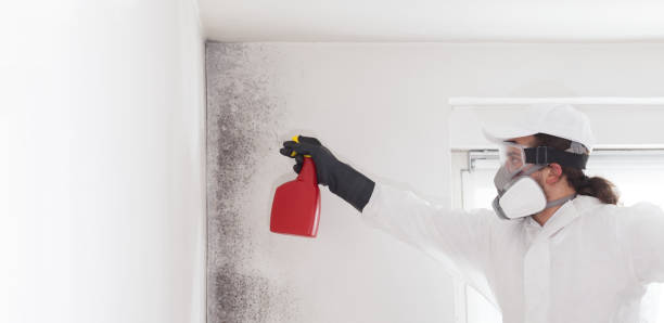 Crawl Space Mold Removal in Wrightsville, AR