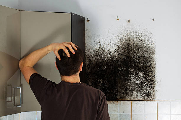 Mold Testing and Removal in Wrightsville, AR